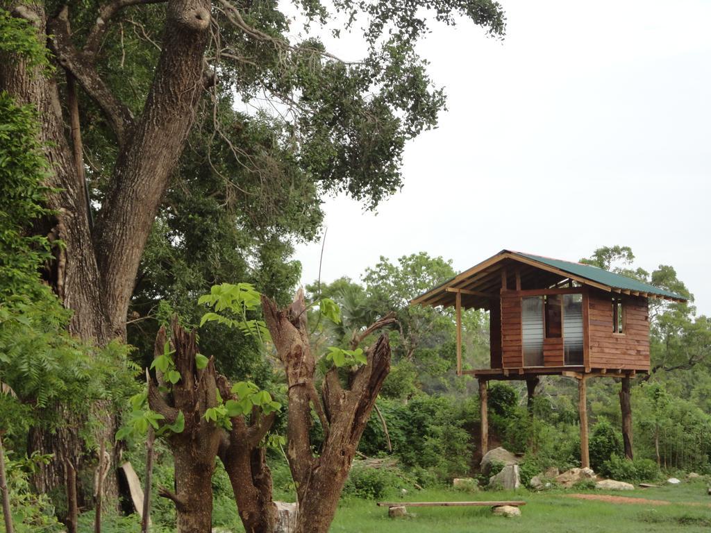 Sigiri Forest View Sigiriya Exterior photo