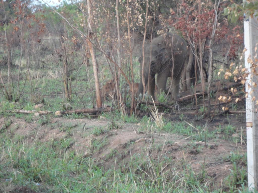 Sigiri Forest View Sigiriya Exterior photo