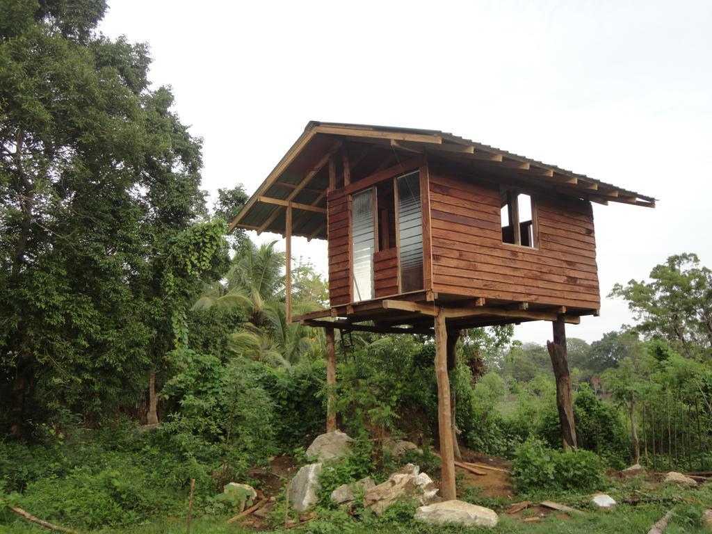 Sigiri Forest View Sigiriya Room photo