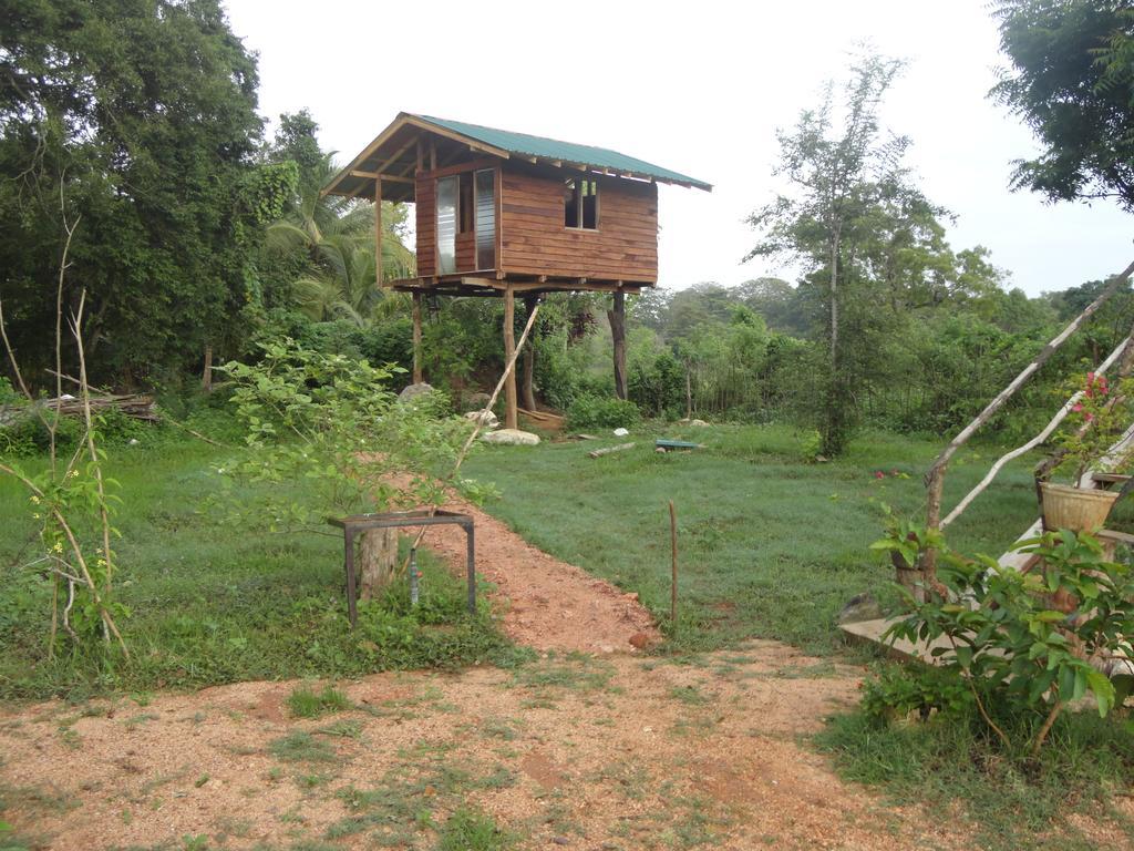 Sigiri Forest View Sigiriya Exterior photo