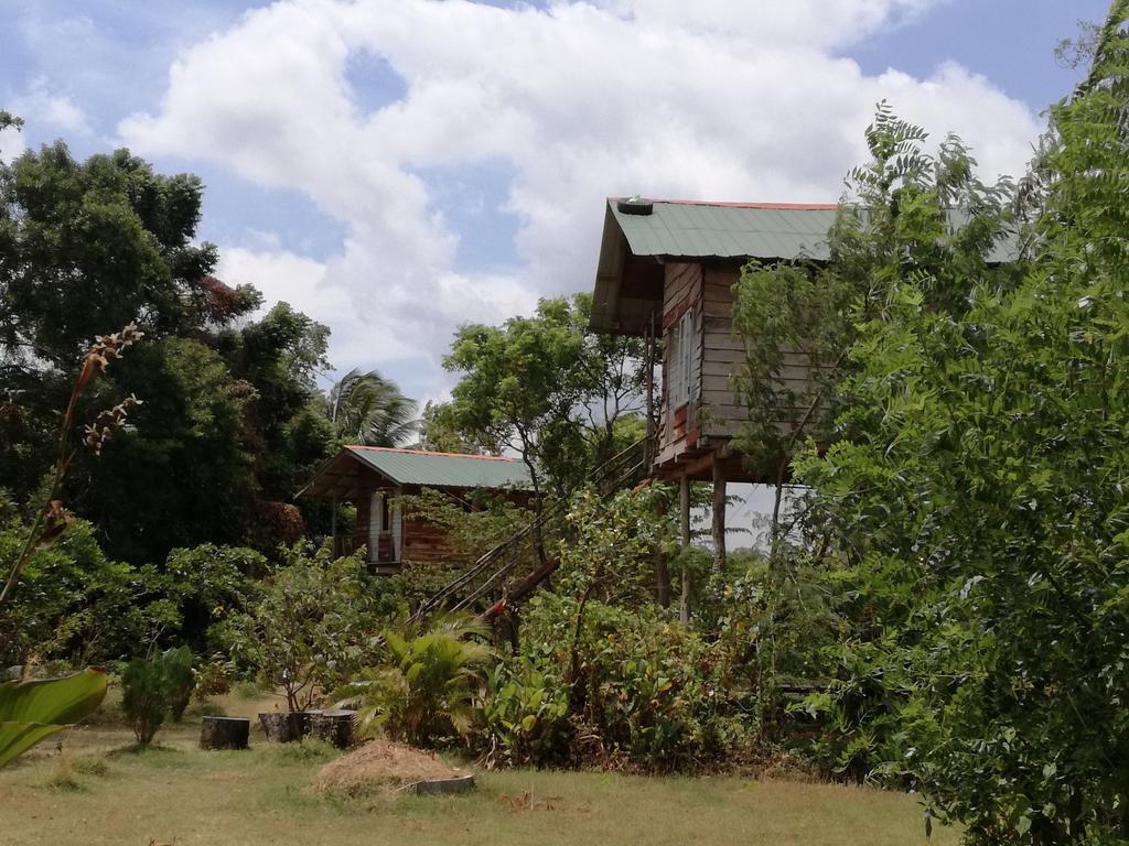 Sigiri Forest View Sigiriya Exterior photo