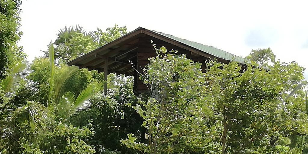 Sigiri Forest View Sigiriya Exterior photo
