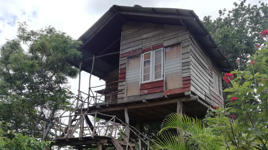 Sigiri Forest View Sigiriya Exterior photo